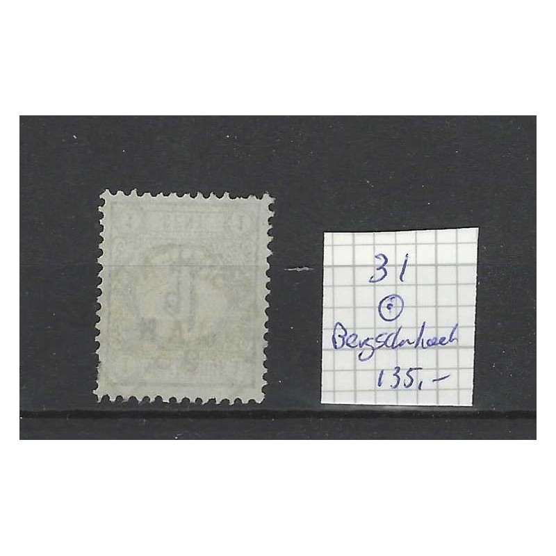 Nederland  31 Cijfer "BERGSCHENHOEK 1895" VFU/gebr CV 135 €
