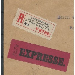 Netherlands 156, 196 on Registered EXPRESS cover  CV  500+ € Certificate VLeeming