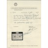 Suriname P16-III-P16-I  Pair  Postage due 1911  MH/unused  CV 325 € Certificate