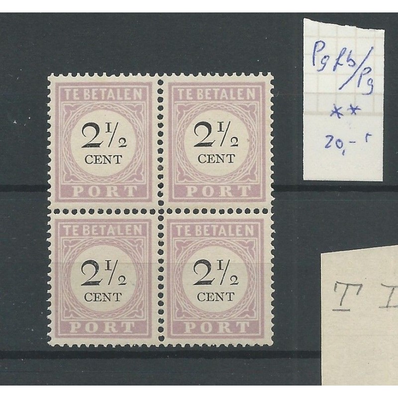 Suriname  P9fb  "Open frame"  Postage due  MH/unused  CV 20 €