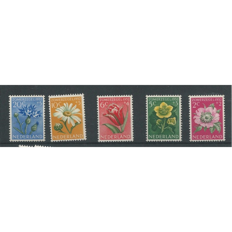 Netherlands 583-587 Summer 1953  MNH  CV 20 €