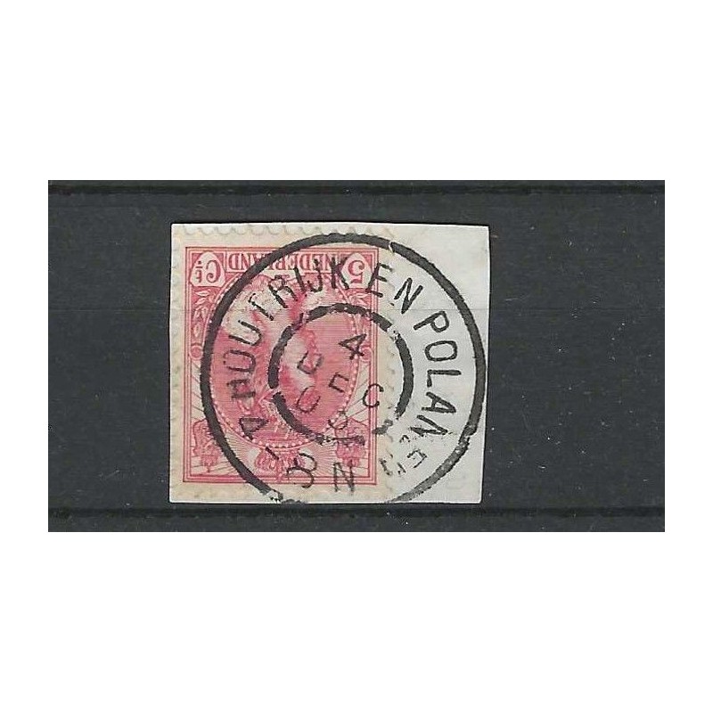 Nederland 60  "HOUTRIJK EN POLANEN 1903" grootrond  VFU/gebr  CV 5 €